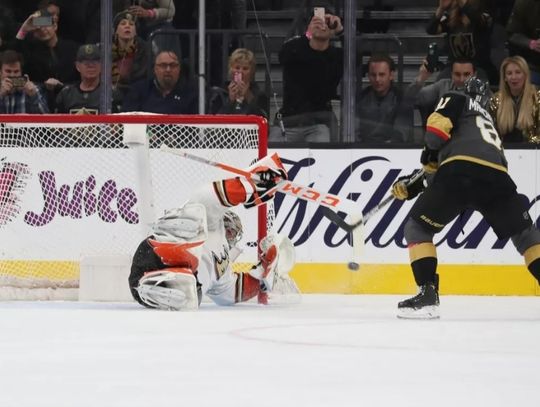 Vegas Wins 5-2 Against the Anaheim Ducks in Last Game of 2019