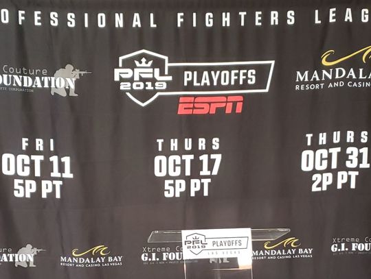 Press Conference backdrop